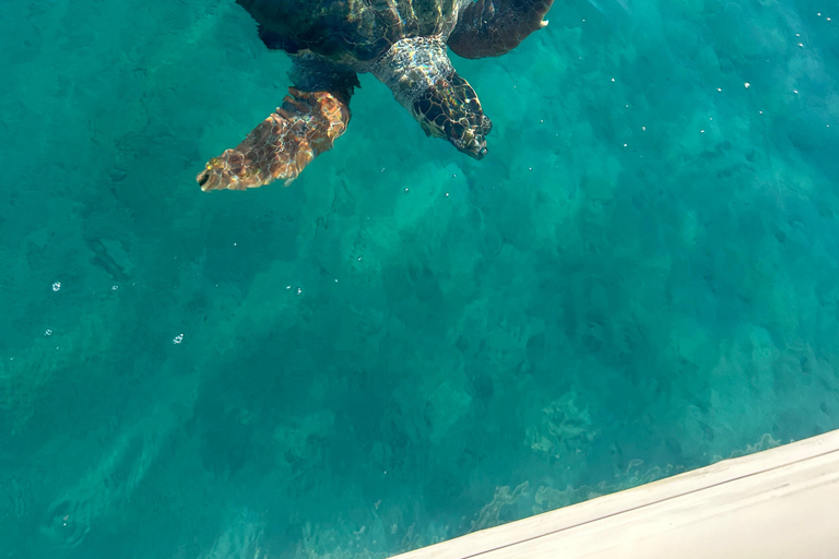 Zakynthos: Laganas, Keri, & Marathonisi Turtle Spotting Tour