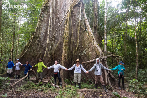 Iquitos: Amazon 4 days | Rio Nanay, Monkey |