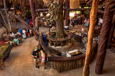 Cancun: ATV, Ziplines and Cenote Adventure in the Jungle Jungle Adventure: ATV, Ziplining & Cenote