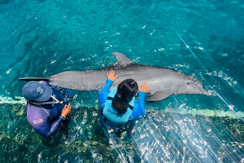 CANCUN: Catamaran and Dolphin Connection at Isla Mujeres