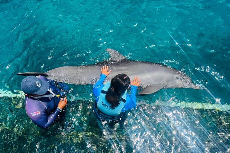 CANCUN: Catamaran and Dolphin Connection at Isla Mujeres