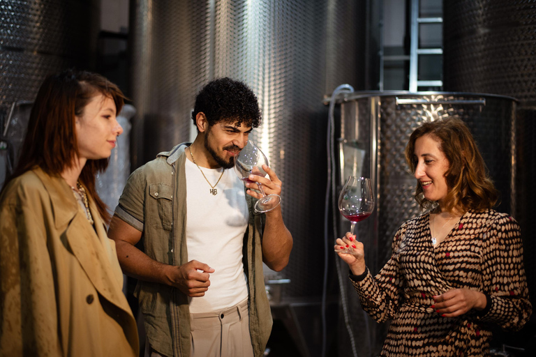 Yerevan: Wine Tasting and Vineyard Lunch at Voskeni Winery