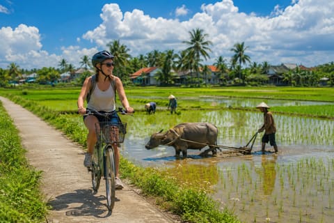 Hoi An: Bicycle Tour To Hidden Duy Vinh Island & Meet Locals - Image 2