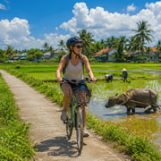 Hoi An: Bicycle Tour To Hidden Duy Vinh Island & Meet Locals Hoi An: Bicycle Tour To Hidden Duy Vinh Island & Meet Locals
