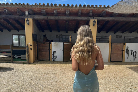 Oman-Salalah: Sunset Beach Horseback Ride with Hotel Pickup