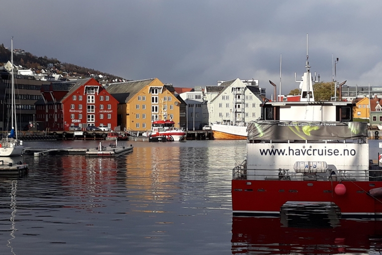 Stadttouren entlang der Postschiffroute in Norwegen (Deutsch)