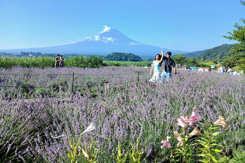 From Tokyo: Mt. Fuji Views Private Customize Itinerary Tour