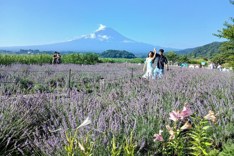 From Tokyo: Mt. Fuji Views Private Customize Itinerary Tour