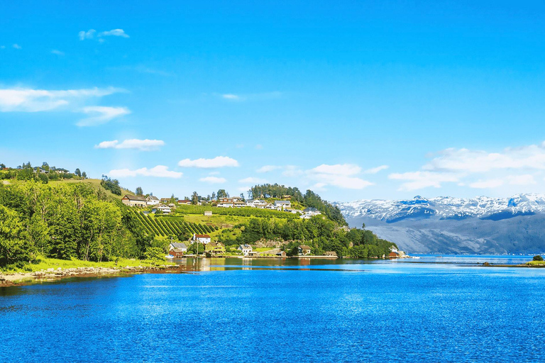 Wycieczka z przewodnikiem: Hardangerfjord, wodospady i przeprawa promem