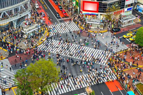 Tokyo: Private Customised Guided City Tour with Photographer