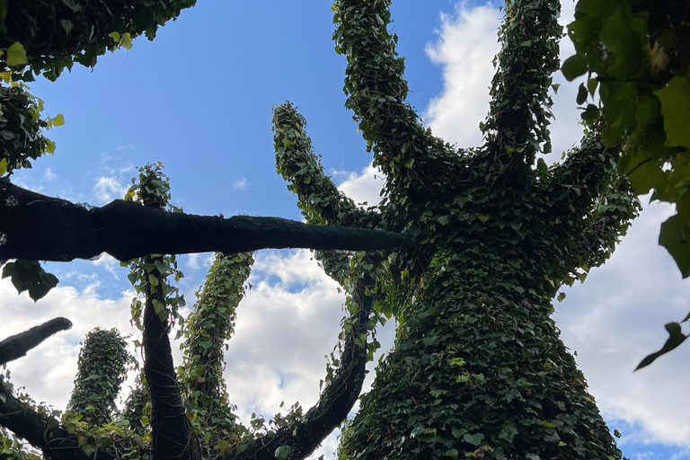 GROTTES DE RUAKURI ET JARDINS DE HAMILTON - Excursion d&#039;une journée au départ d&#039;AucklandGROTTES DE RUAKURI ET JARDINS HAMILTON - Excursion d&#039;une journée au départ d&#039;Auckland