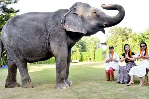 Safari w wiosce Radżastan Jodhpur Bishnoi z autentycznym jedzeniem