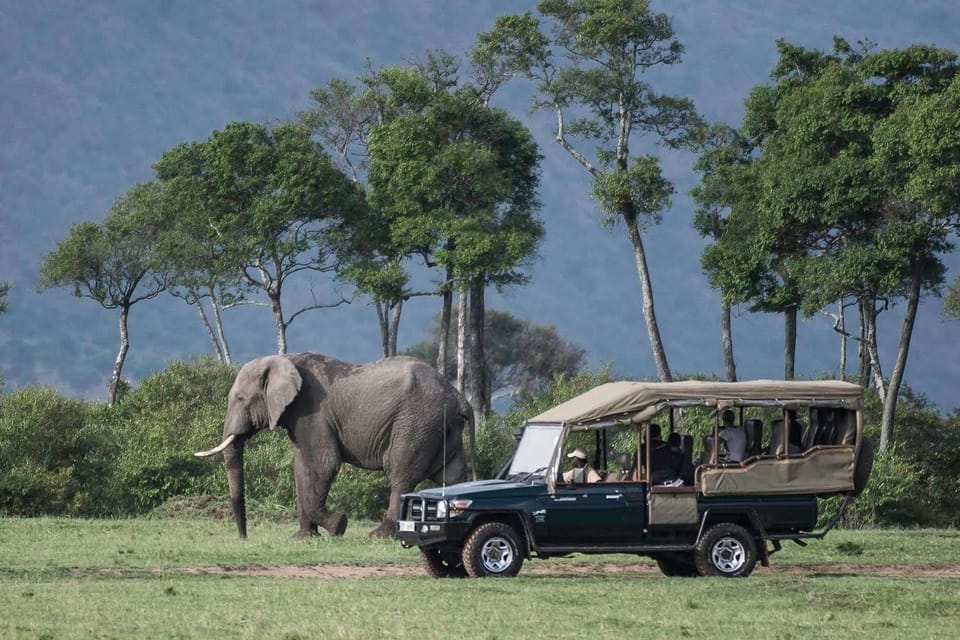 7 Jours Amboseli Lac Nakuru Lac Naivasha Et Masai Mara GetYourGuide