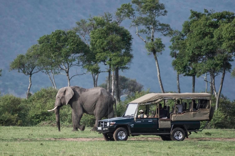 6-Day Masai Mara, Serengeti & Ngorongoro Safari on 4x4 Jeep 6-Day Masai Mara Serengeti Ngorongoro Safari