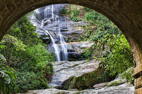 Tropikalne cuda: Odkryj Jardim Botânico i Tijuca w Rio