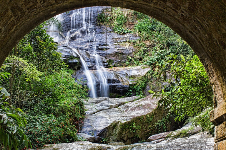 Cuda natury: Jardim Botânico i las Tijuca w Rio