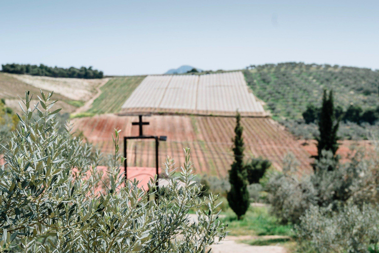 From Nafplion: Argos Castle & Olive Tasting Experience