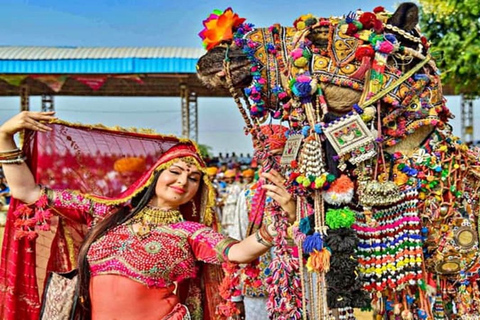 Vanuit Jaipur: Privé dagtrip Ajmer &amp; Pushkar op dezelfde dag