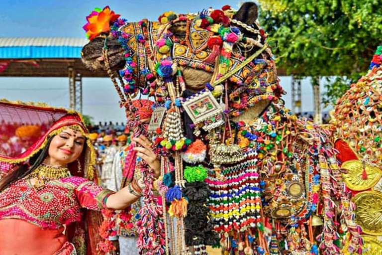 Vanuit Jaipur: Privé dagtrip Ajmer &amp; Pushkar op dezelfde dag