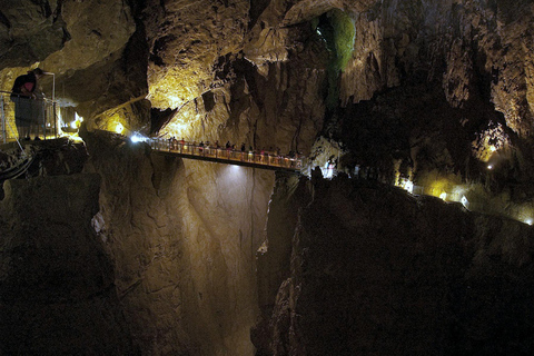 De Ljubljana: Coudelaria Lipica e excursão de 1 dia a PiranDe Ljubljana: Coudelaria de Lipica e excursão de dia inteiro a Piran