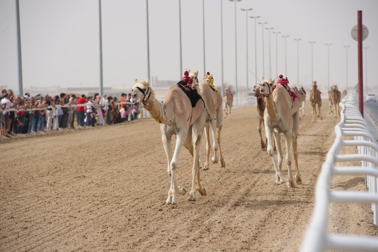 Doha : Visite du musée Sheikh Faisal et de l'hippodrome de chameaux