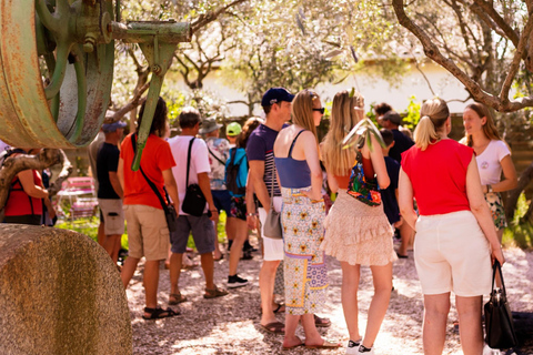 L'Oulibo oil mill: Guided tour Oulibo oil mill : Guided tour