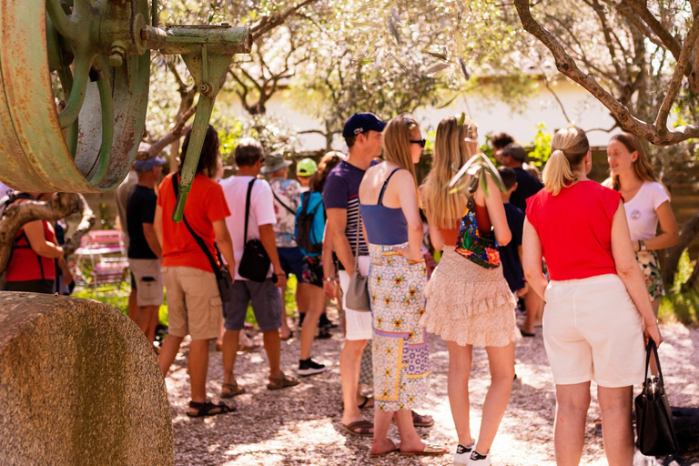معصرة زيت أوليبو: جولة إرشاديةمعمل زيت أوليبو: جولة بصحبة مرشد سياحي