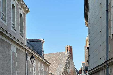 Angers: Château d'Angers, Wine Tasting, and Lunch Tour