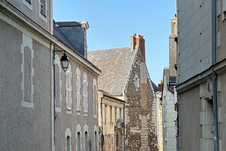 Angers: Château d'Angers, Wine Tasting, and Lunch Tour