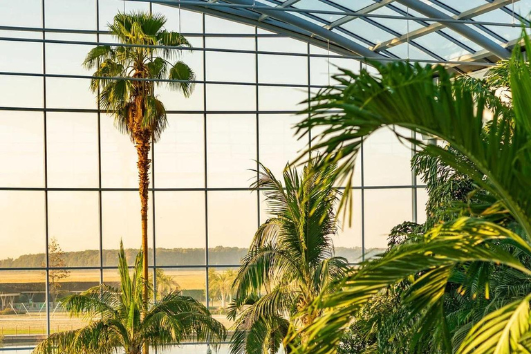 Bucharest: Transfer and Full Access All Day at Therme Spa