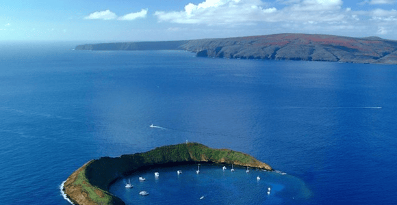 Maui: Molokini Express Snorkeling Tour - 2 hours