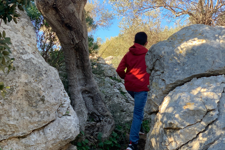 Valldemossa: Cidade e os mais belos pontos de vista