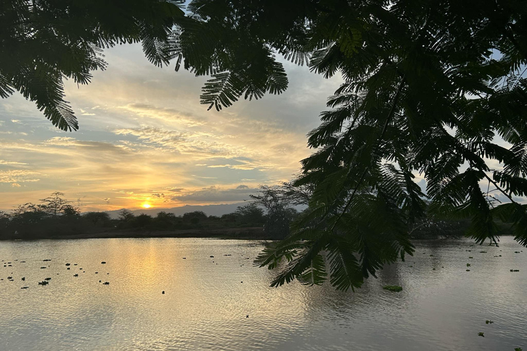 Mombasa: 3-Day Tsavo East/West & Kilimanjaro Views Safari