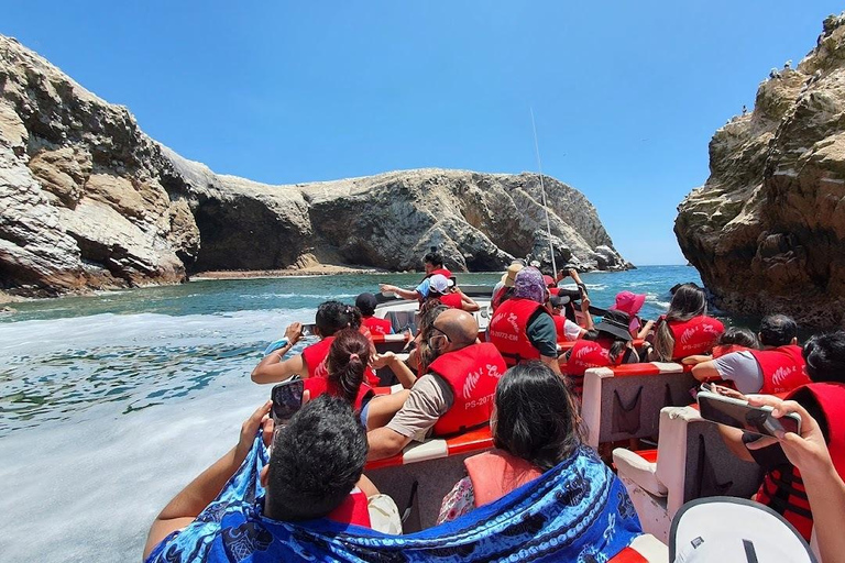 Lima: Trasferimento + Paracas + HuacachinaLima: Trasferimento + Paracas+ Huacachina