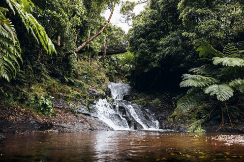 Insel Terceira: Baías da Agualva Wanderung + Picknick + Biscoitos