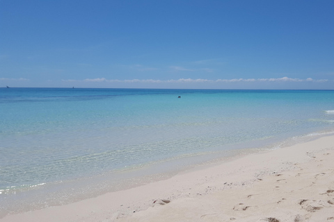 Zanzibar 3: Stone Town & Prison Island, Nakupenda