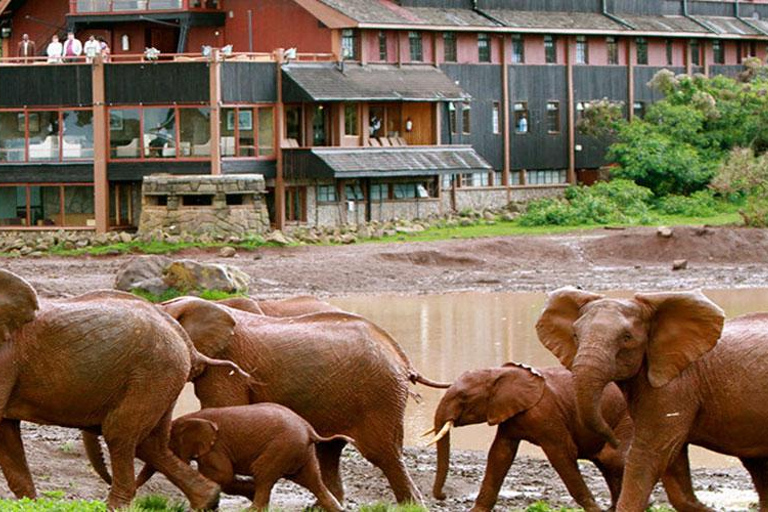 From Nairobi: 2-Day Aberdares National Park Safari