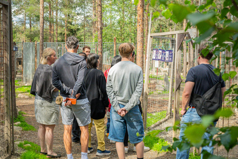 Rovaniemi: Husky & Reindeer Experience with Transfers
