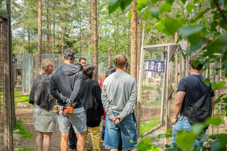 Rovaniemi: Husky & Reindeer Experience with Transfers