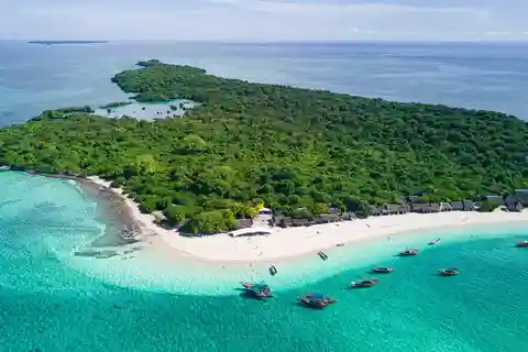 Punguume island,SandBank and Sea turtles Sanctuary with BBQ