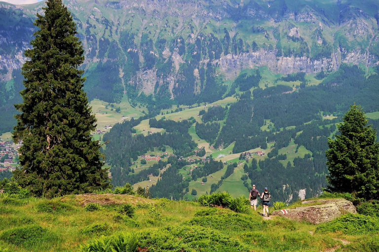 Escursione a Lauterbrunnen-Mürren con le cascate di Trümmelbach