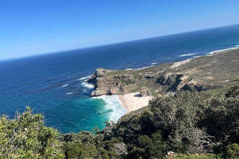 Cape Town: Private Langa, Penguins, CapePoint & Food Tasting