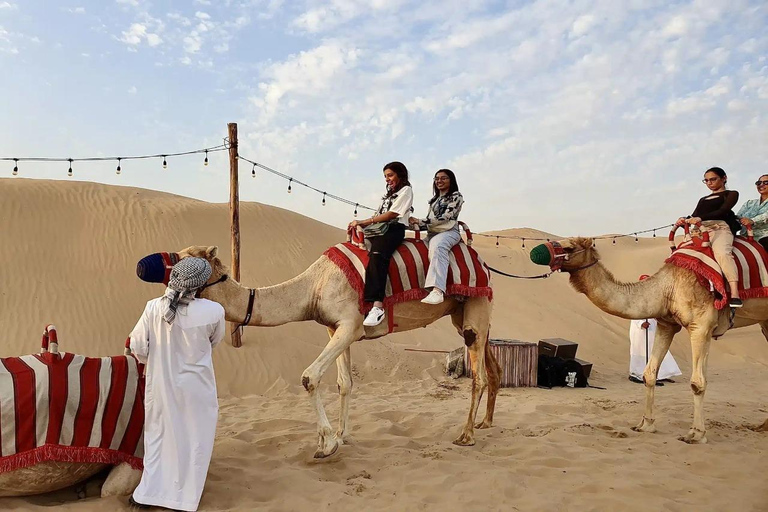 Dubai: Desert Safari, Camel Ride, Sandboard, Dinner &amp; Shows