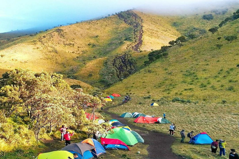 Randonnée avec camping et visite du mont Merbabu et de Borobudur (2 jours/1 nuit)Randonnée et visite du mont Merbabu et de Borobudur (2 jours, 1 nuit)