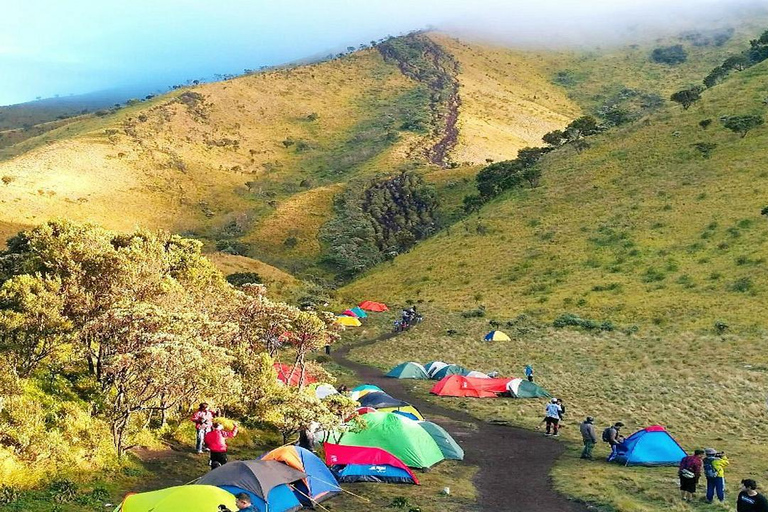 Randonnée avec camping et visite du mont Merbabu et de Borobudur (2 jours/1 nuit)Randonnée et visite du mont Merbabu et de Borobudur (2 jours, 1 nuit)