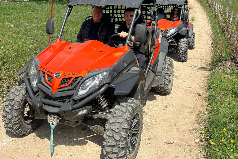 Bucareste: Santuário dos Ursos Pardos e Passeio de Quadriciclo