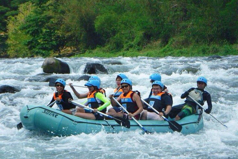 Jinja: Nile River Whitewater Rafting with Lunch
