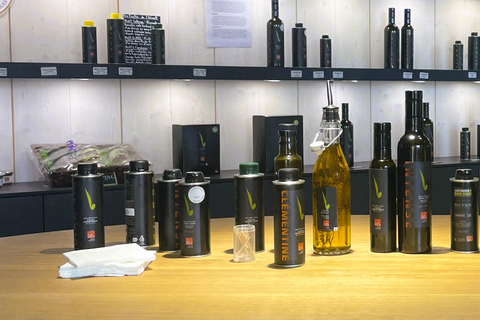 Montpellier : Visit an Olive Oil Mill