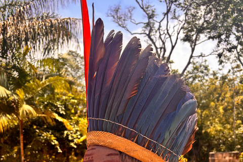 The Heart of the Amazon in One Day (The Most Complete Tour) Exclusivity