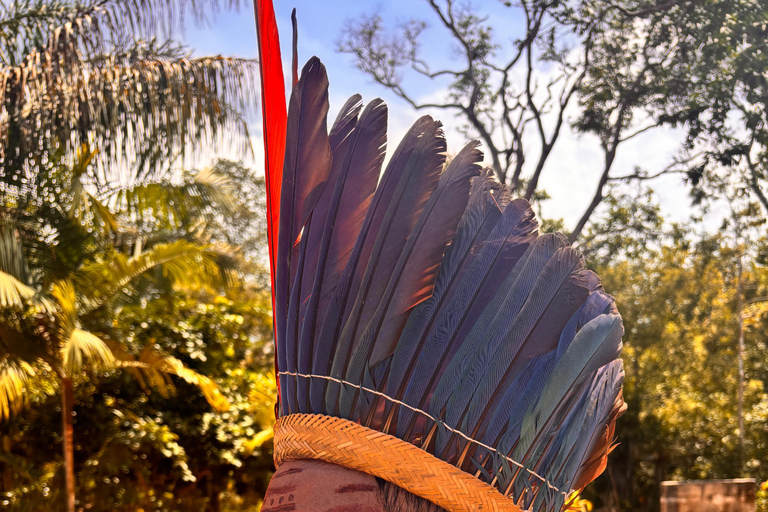 The Heart of the Amazon in One Day (The Most Complete Tour) Exclusivity
